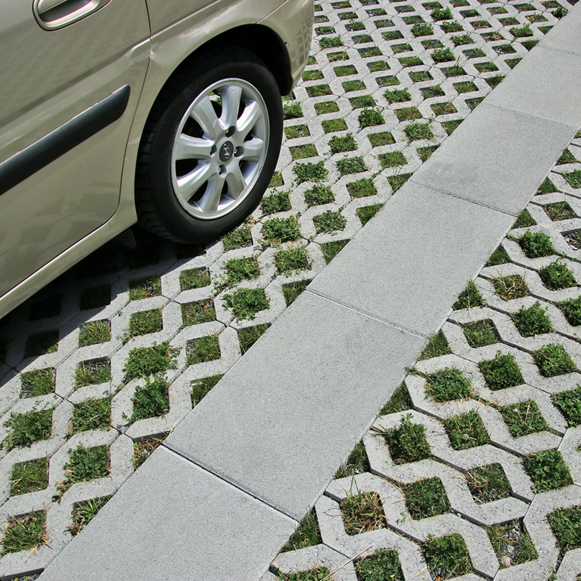 Passe-pieds avec ergots