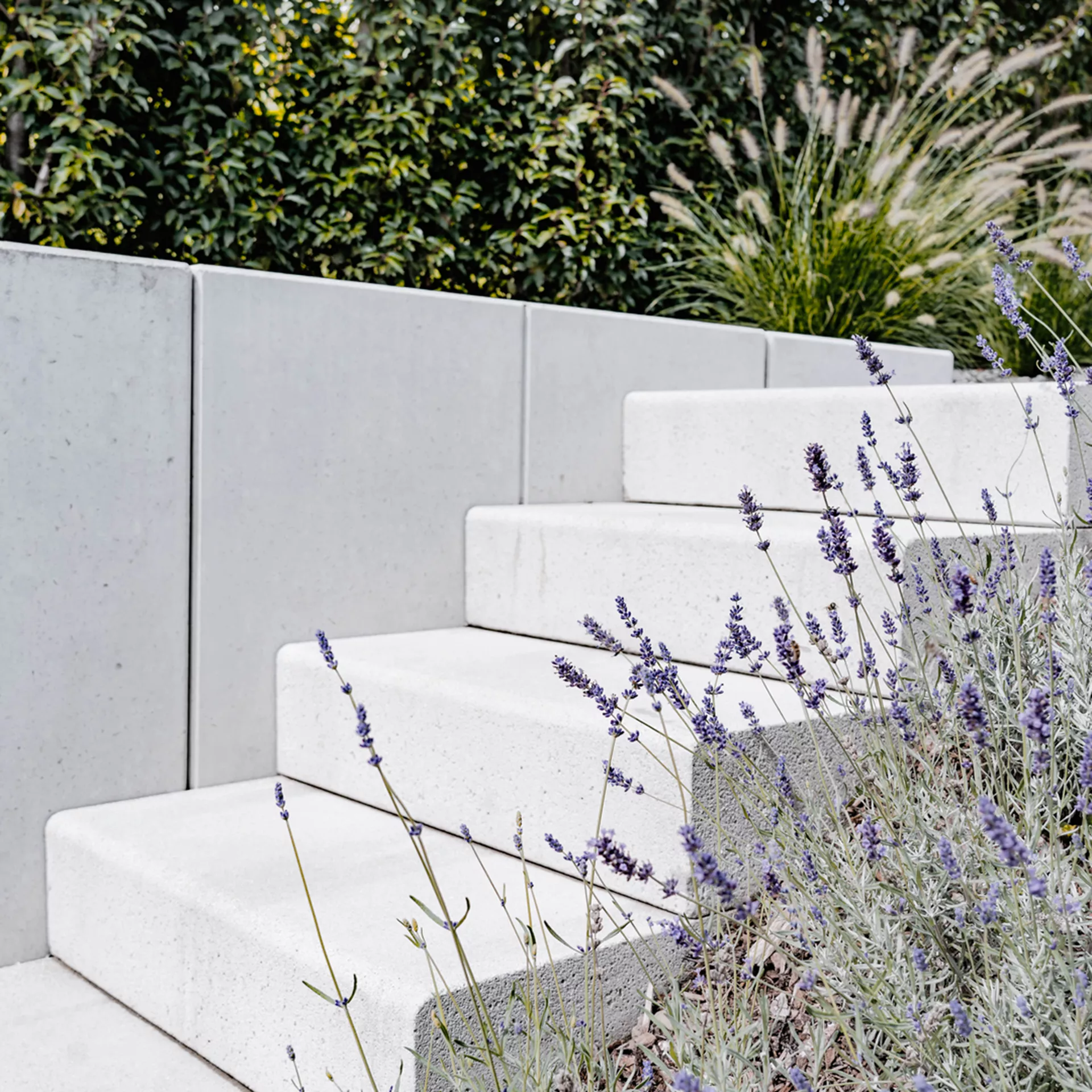 PARADISO Blockstufen