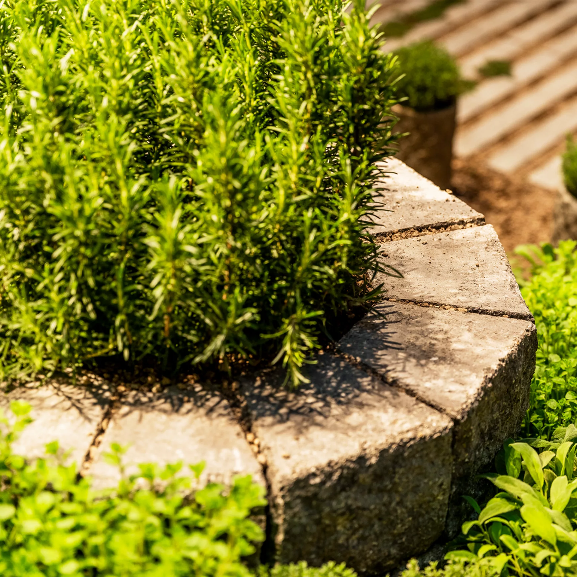 Spirale aromatique SANTURO<sup>®</sup> Finito