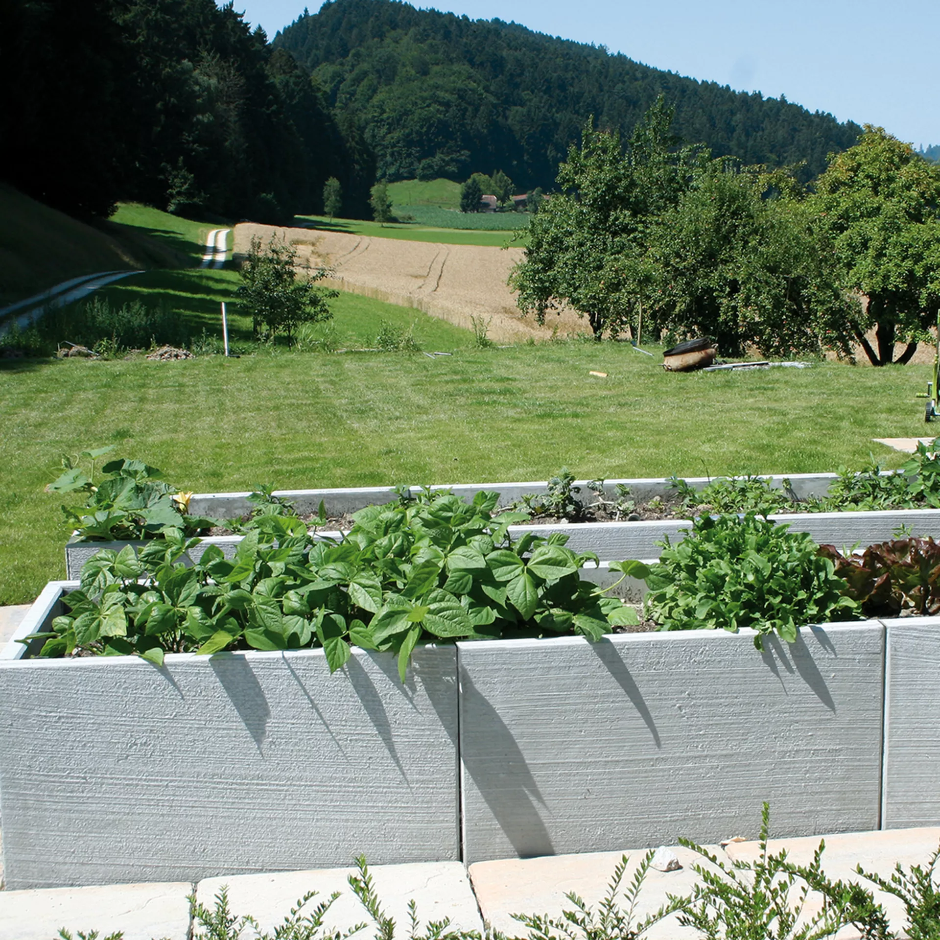 WIPASO Winkelplatten mit Besenstrich