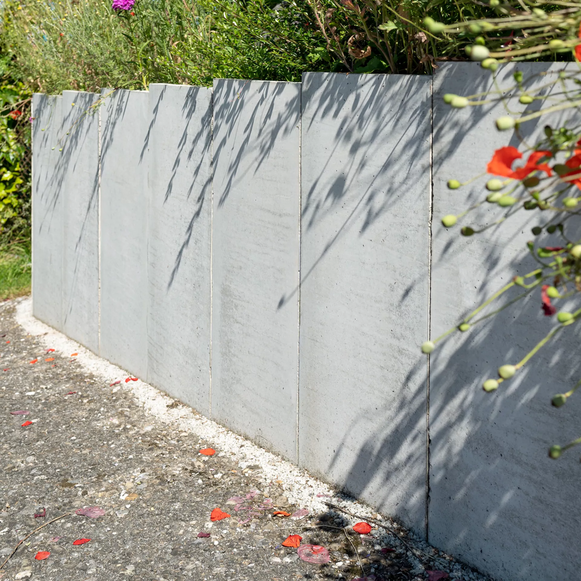 Planches en béton arêtes vives