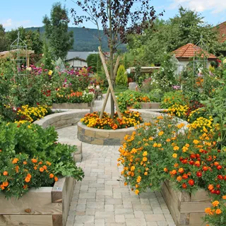 TEGULA<sup>®</sup> Pflastersteine Kanten gebrochen