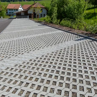 Grilles-gazon GRISON