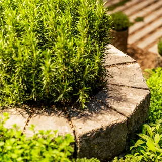 Spirale aromatique SANTURO<sup>®</sup> Finito