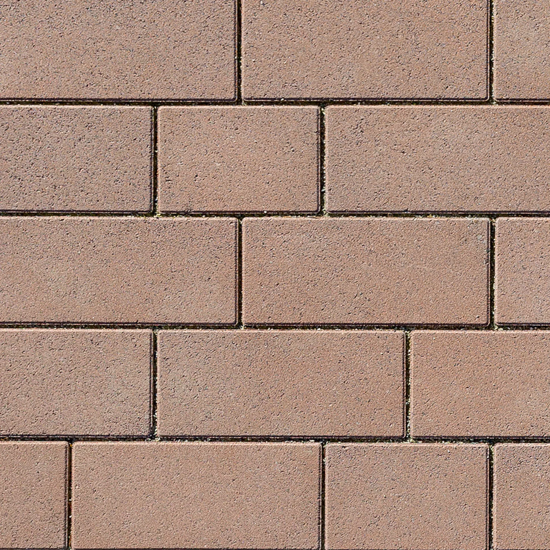 RAINA DRAIN Ökosteine fein gefast