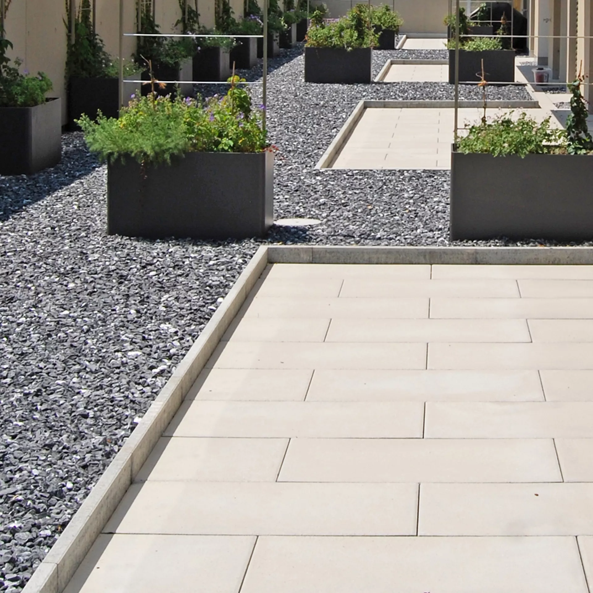 FINALGO Vakuum Stellriemen / Randplatten