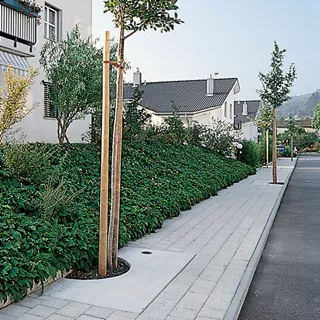 Entourages d'arbres BAUMFIX<sup>®</sup>