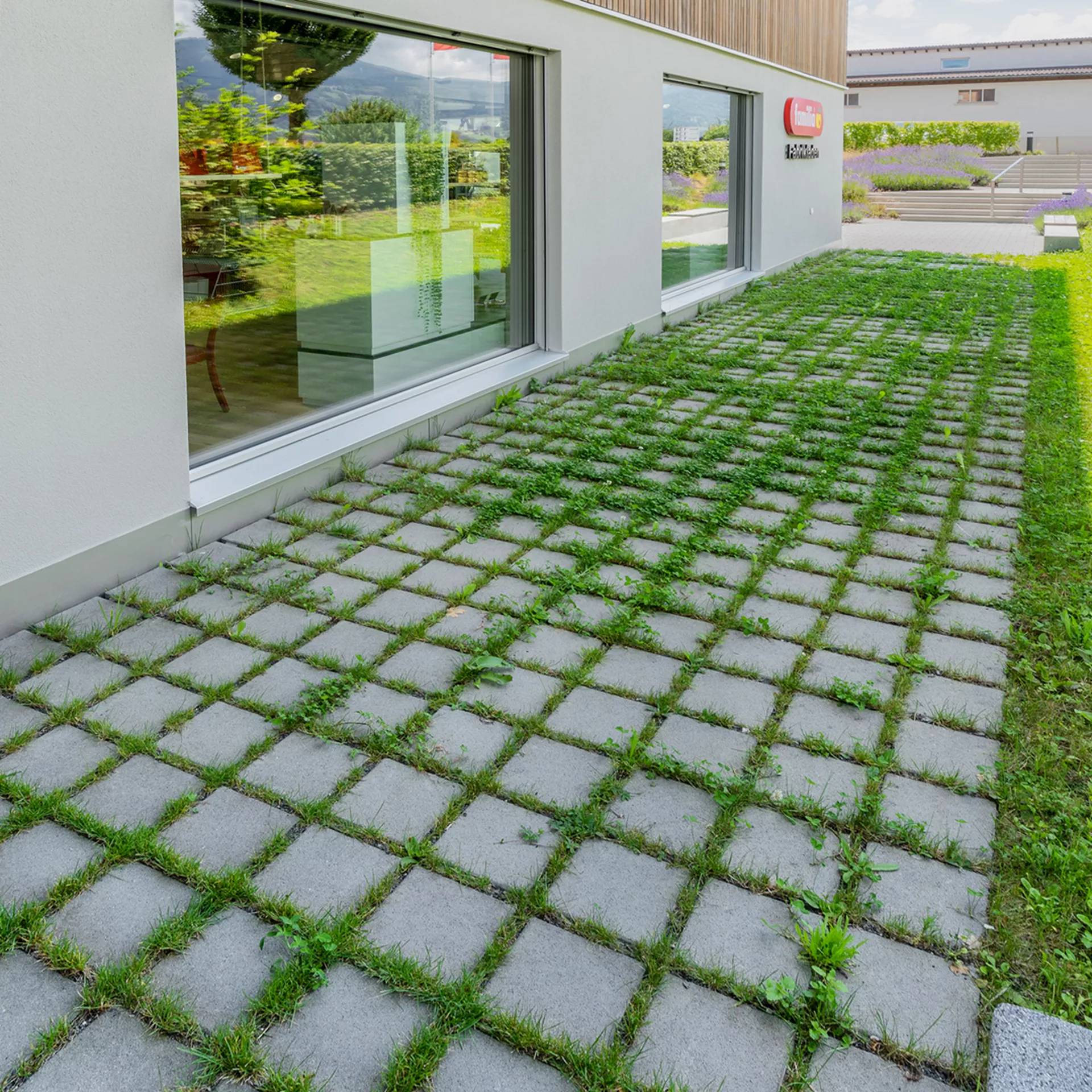 CARENA<sup>®</sup> RASEN Ökosteine gefast