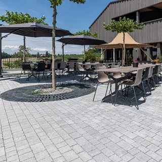 FRIEDA<sup>®</sup> Wildpflaster