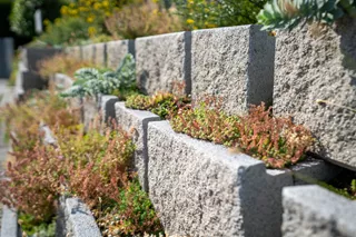 Eléments de talus SANTURO<sup>®</sup>