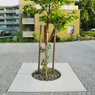 Entourages d'arbres BAUMFIX<sup>®</sup>